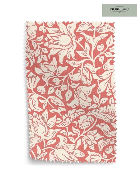 Morris & Co Madder Coral Orange Mallow by Morris and Co Upholstery Swatch (AR1333) | £0