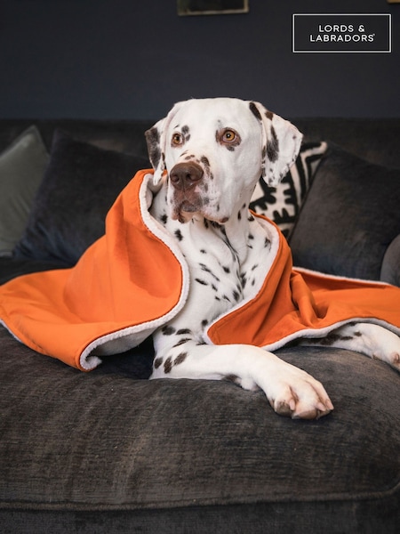 Lords and Labradors Velvet Pumpkin Blanket (AR3154) | £25 - £35