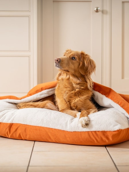 Lords and Labradors Velvet Pumpkin Sleepy Burrows Bed 30 (AR3271) | £90 - £130