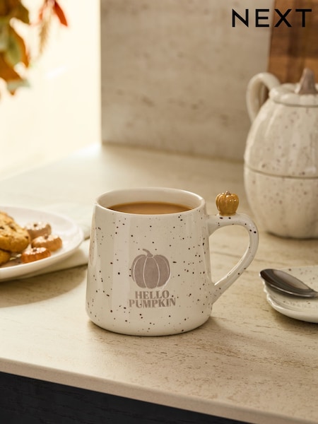 Natural Speckle Pumpkin Mug (AT1060) | £8