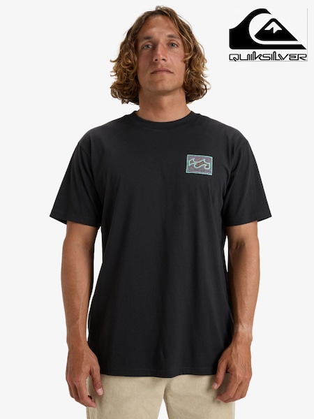 Billabong Graphic Back Print Short Sleeve Logo T-Shirt (AT6315) | £27