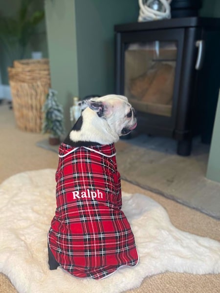 Tartan Dog Pyjamas by RUFF (AT8774) | £38.50