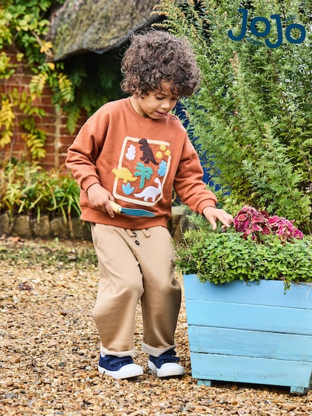 JoJo Maman Bébé Brown Dino 100% Cotton Appliqué Sweatshirt (AU0452) | £25 - £28