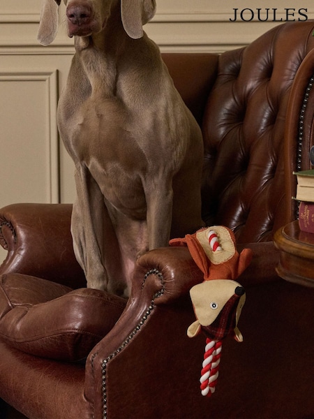 Joules Red Fox Dog Toy (AU0928) | £12