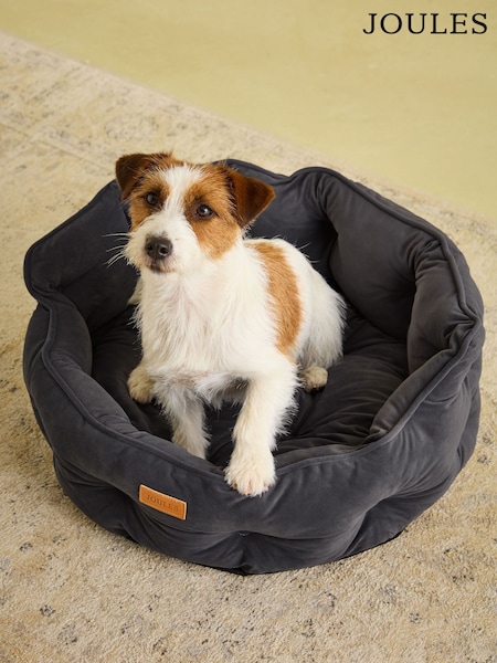 Joules Grey Pet Bed (AU0939) | £40 - £60