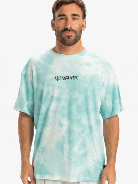 Quiksilver Blue Frog Ritual Short Sleeve 100% Cotton Backprint Logo T-Shirt (AU1648) | £32
