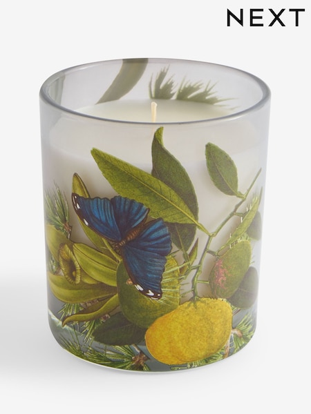 Blue Kew Gardens Vanilla Cedar Candle (AU9937) | £10