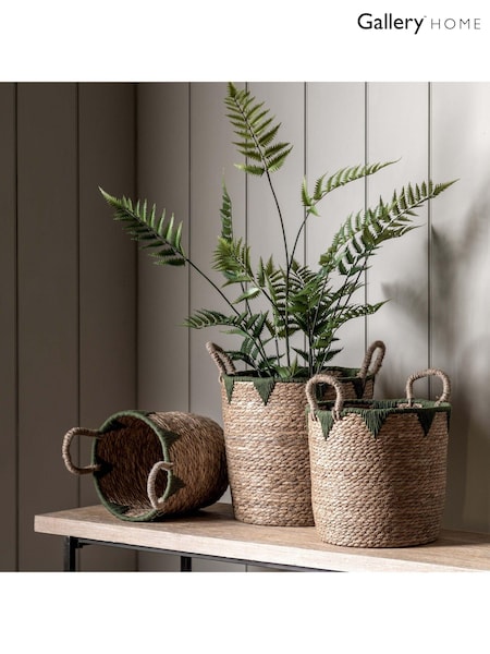 Gallery Home Set of 3 Natural and Green Jianna Baskets (AV0061) | £42