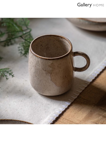 Gallery Home Set of 4 Oatmeal Speckle Glaze Mugs (AV0063) | £28