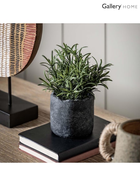 Gallery Home Green Potted Fern Plant (AV0676) | £26 - £68