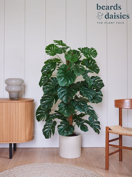 Beards & Daisies Green Artificial Swiss Cheese on Moss Pole Plant (AV3713) | £160