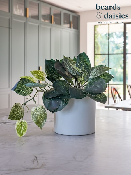 Beards & Daisies Green Artificial Pothos Plant (AV3714) | £40