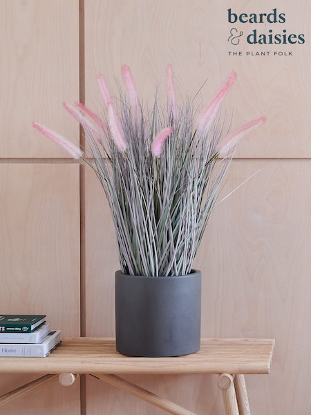 Beards & Daisies Artificial Pennisestum Grass Pink Plant (AV3715) | £70