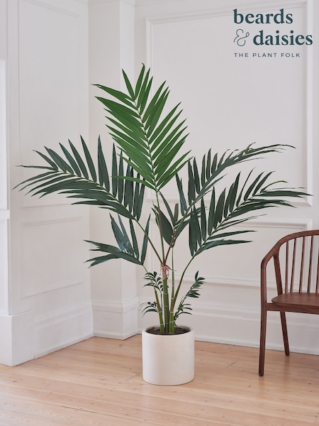 Beards & Daisies Green Artificial Kentia Palm (AV3717) | £180