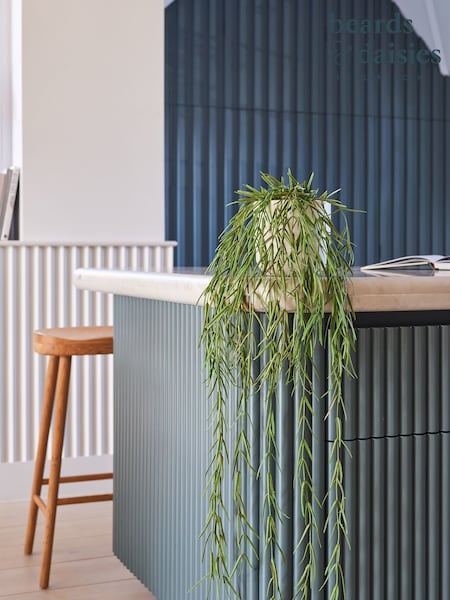 Beards & Daisies Green Artificial Hoya Linearis (AV3720) | £36