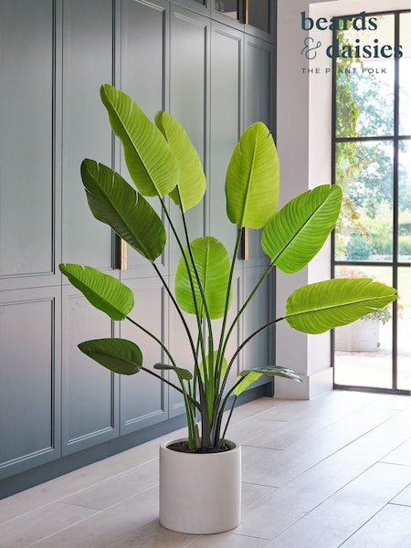 Beards & Daisies Green Artificial Bird of Paradise Plant (AV3723) | £200