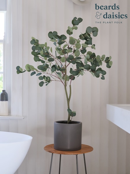 Beards & Daisies Green Artificial Eucalyptus Tree (AV3726) | £80