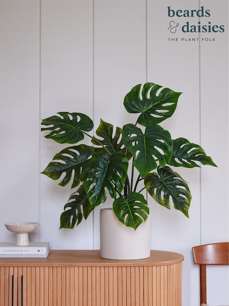 Beards & Daisies Green Artificial Swiss Cheese Plant (AV3738) | £80