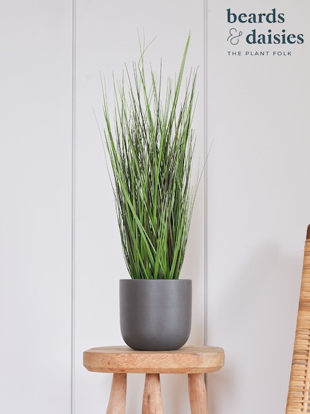 Beards & Daisies Green Artificial Grass Bush (AV3746) | £40
