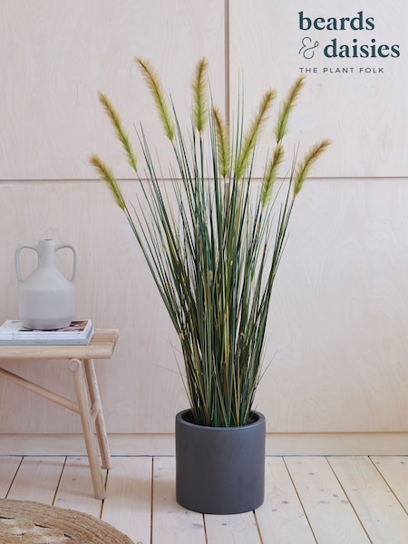 Beards & Daisies Green Artificial Foxtail Grass (AV3754) | £80