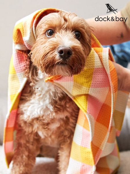 Dock & Bay Rhubark Custard Quick Dry Towel For Pets (AV4572) | £29