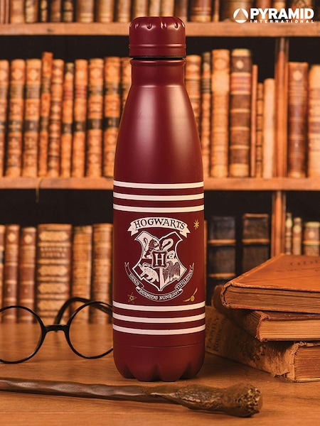 Pyramid International Harry Potter Classic Crest Burgundy Stripes Metal Drinks Bottle (AV5177) | £17