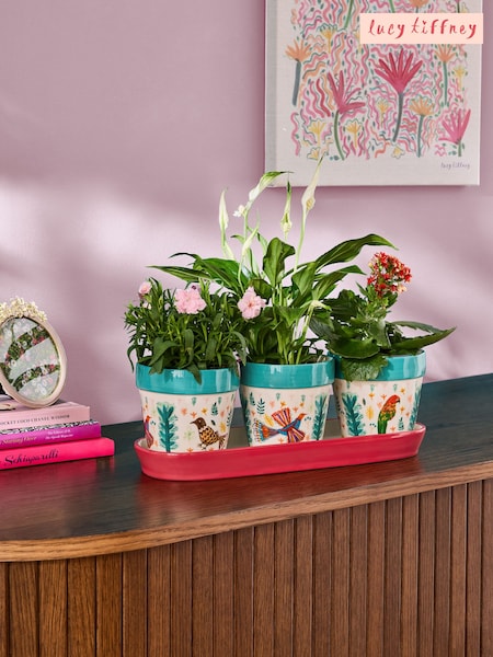Lucy Tiffney Red/Green Plant Pots Set of 3 (AV8217) | £30