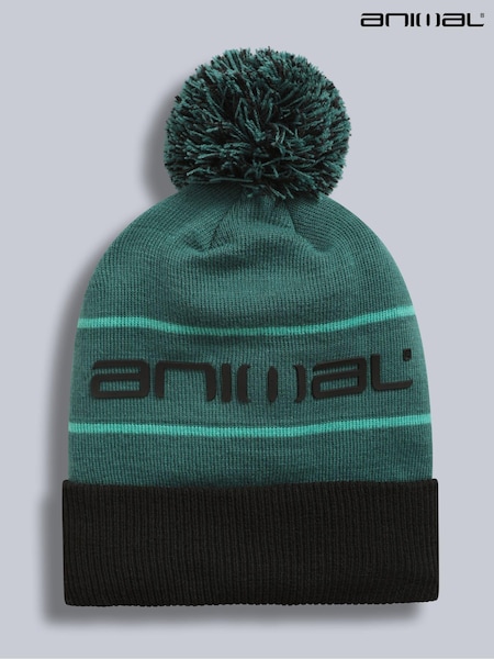Animal Green Dylan Recycled Ski Pom Beanie (AW0301) | £20