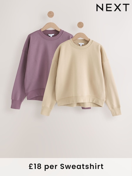 Neutral/Blush Supersoft Peached Essentials Crew Neck Seam Detail Sweatshirts 2 Pack (AW4353) | £36