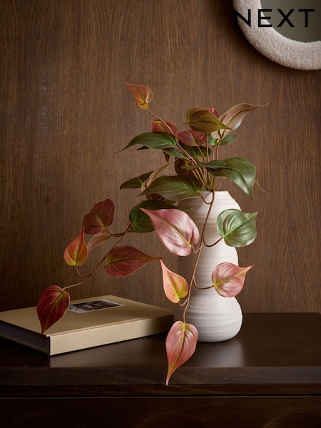 Red/Green Artificial Trailing Plant In Ceramic Bobble Vase (AW8755) | £28