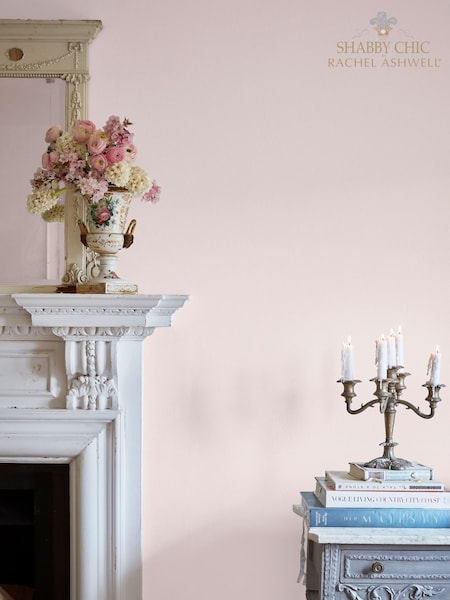 Shabby Chic Shabby Ballet Slippers Mult Surface Matt Emulsion Paint 2.5Ltr (AY1197) | £50