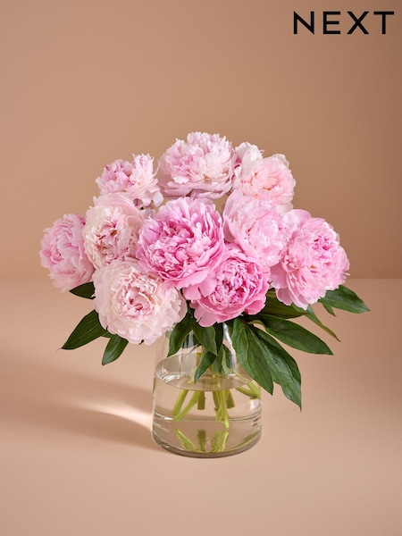 Pink Peony Fresh Flower Letterbox Bouquet (AY1556) | £32