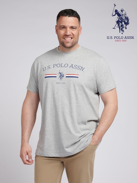 U.S. Polo Assn. Grey Mens Big & Tall Stripe Rider 100% Cotton T-Shirt (B23528) | £30
