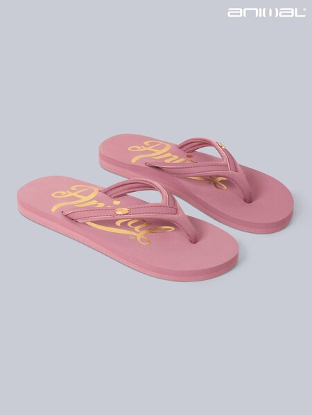 Animal Pink Womens Slim Swish Flip Flops (B25867) | £22