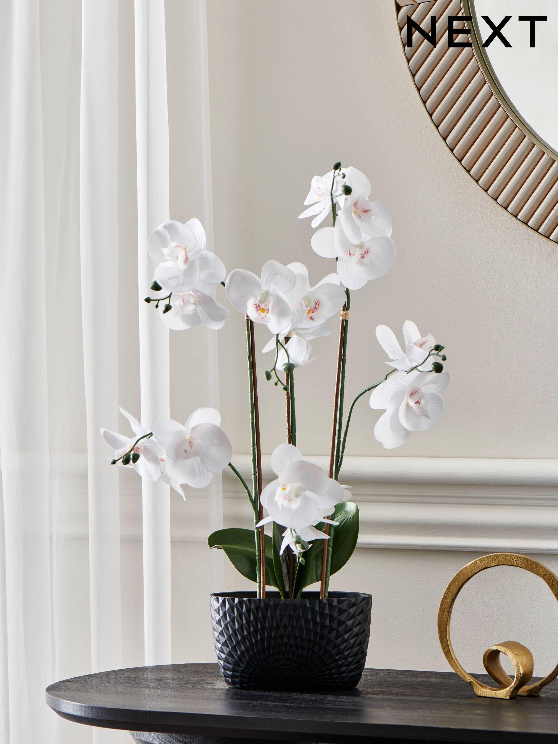 Artificial Flowers and Plants Next UK