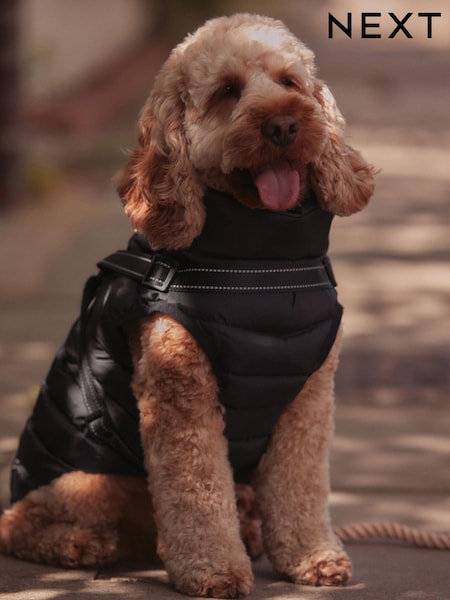 Black Harness Dog Coat (B54291) | £24 - £28