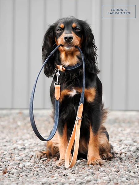 Lords and Labradors Denim Essentials Twill Dog Lead (B63376) | £25 - £30