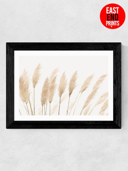 East End Prints Black Pampas by Sisi and Seb Framed Art Print (B76590) | £50 - £130
