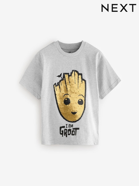 Grey Flip Sequin Licensed Groot T-Shirt (3-14yrs) (B89854) | £13 - £16