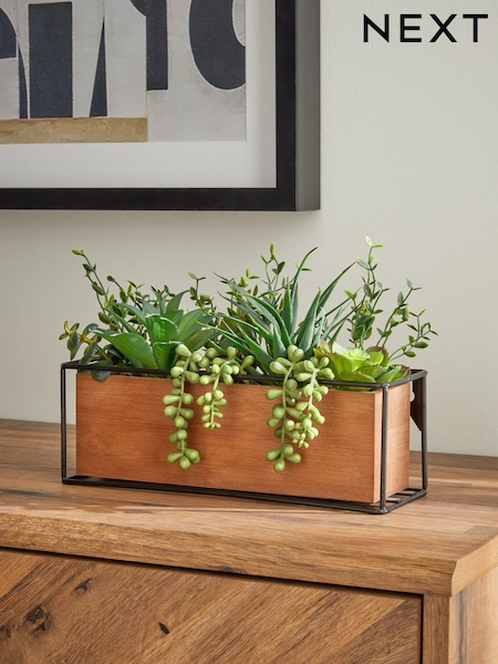 Green Artificial Succulent Garden in Bronx Wood Trough (C04007) | £28