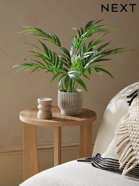 Green Artificial Mini Kentia Palm Plant In Ribbed Concrete Pot (C31139) | £24