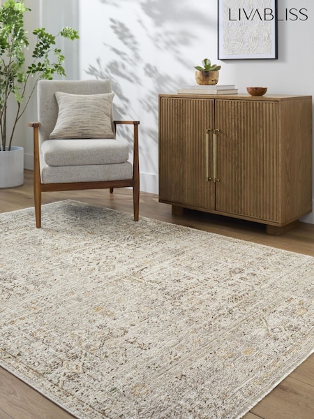 Livabliss Myrtle Avenue I Galey Alix Vintage Traditional Boho Fringe Rug