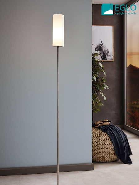 Eglo White Troy 3 Nickel and Matte Floor Lamp (D19996) | £60