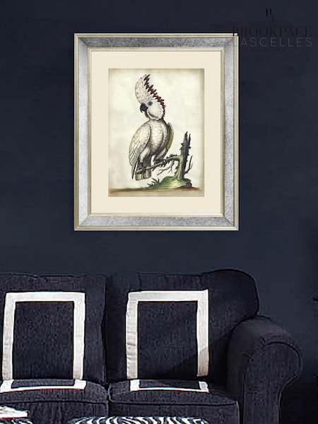 Brookpace Lascelles Cream White Cockatoo III Print in Antique Mirrored Frame (D39454) | £115