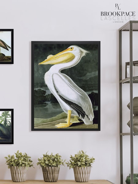 Brookpace Lascelles White Pelican Framed Wall Art (D39458) | £160