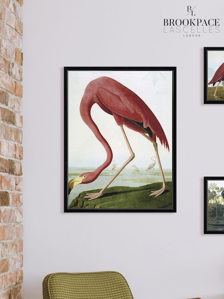 Brookpace Lascelles Red Flamingo Framed Wall Art (D39459) | £160