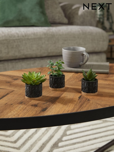 Set of 3 Green Artificial Bronx Succulents (D48489) | £21