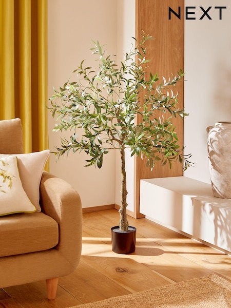 Green Artificial Light Up Olive Tree (D48495) | £145