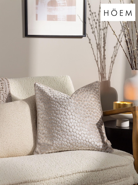 HÖEM Moonbeam Grey 45 x 45cm Lanzo Cut Velvet Spot Cushion (D95779) | £17
