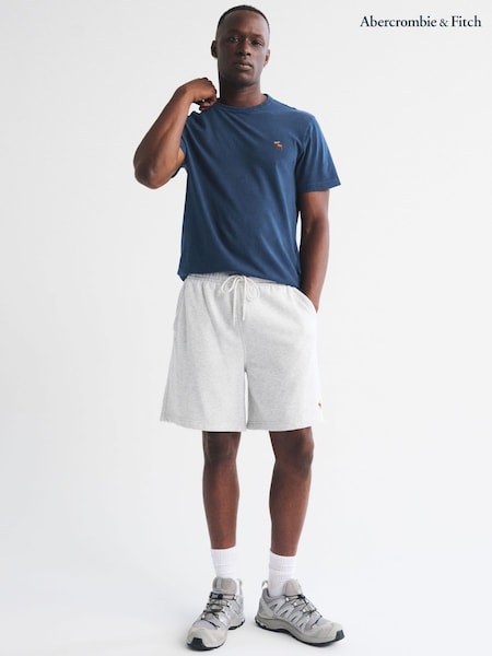Blue - Regular Abercrombie & Fitch Washed Icon T-shirt